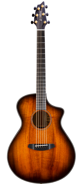 breedlove oregon concert ce