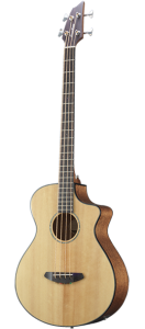 breedlove mini