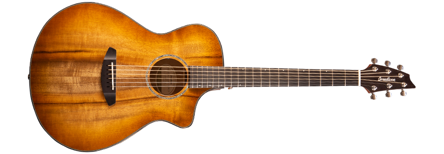 breedlove pursuit exotic