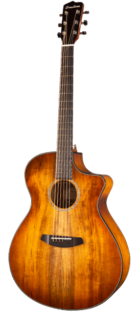 breedlove pursuit concerto