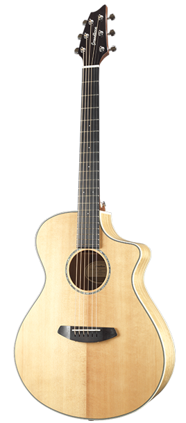 breedlove pursuit ex concert