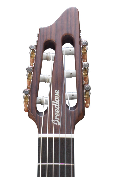 breedlove nylon