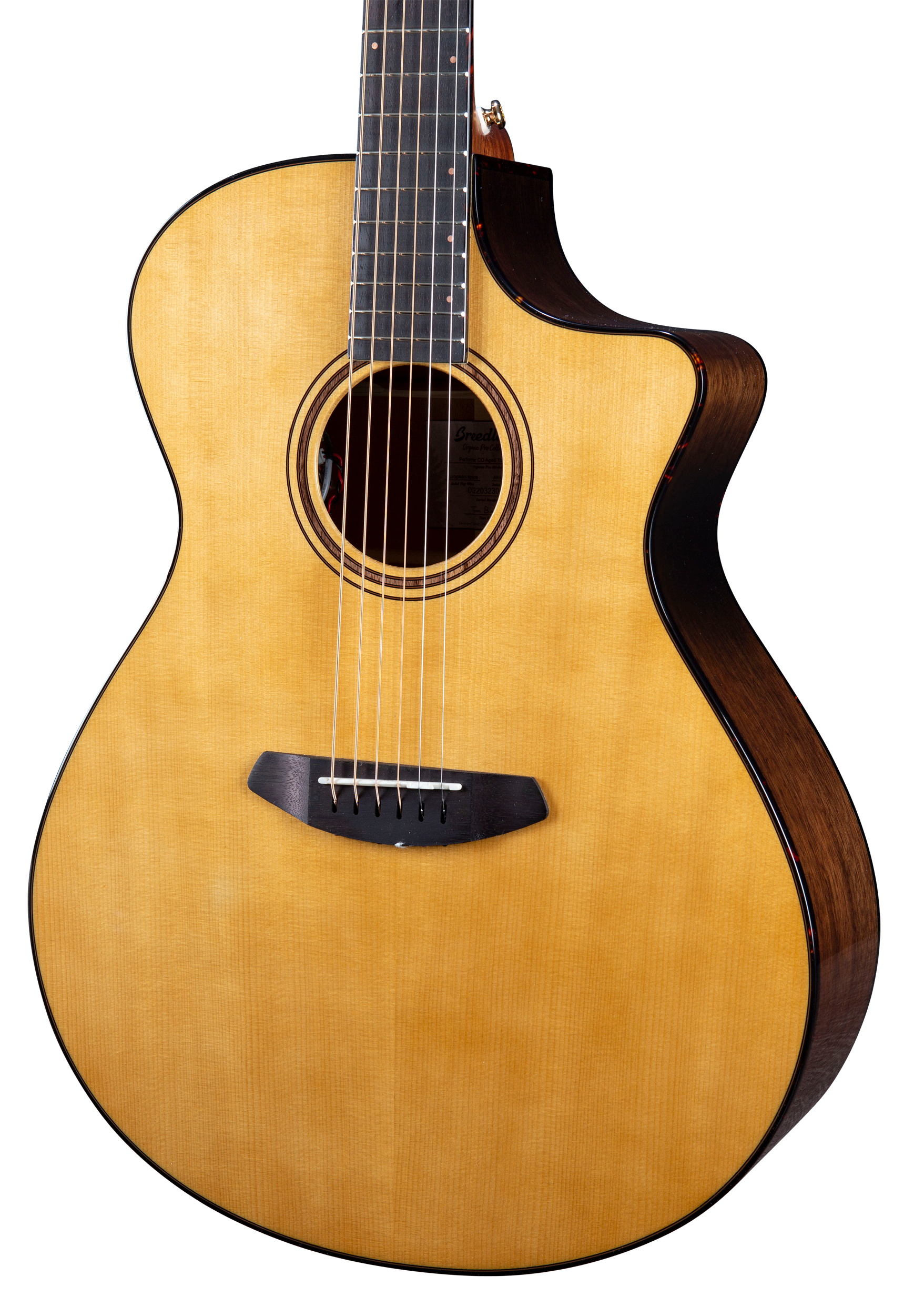 What makes a store good acoustic guitar