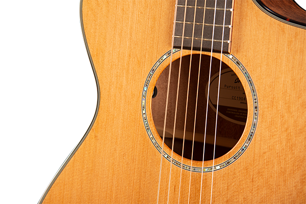 breedlove psc31ce