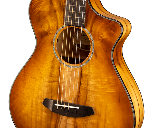 breedlove pursuit exotic