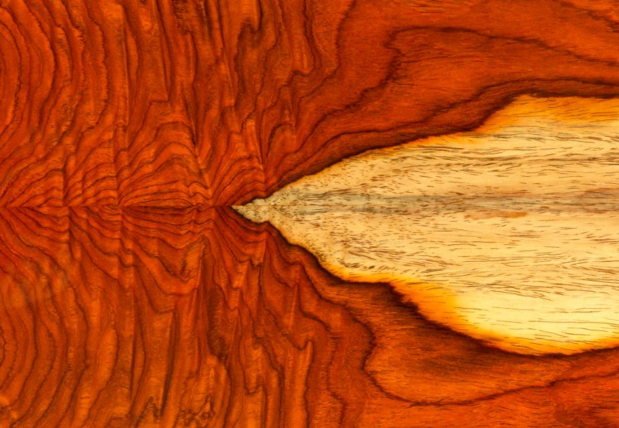 cocobolo tonewood