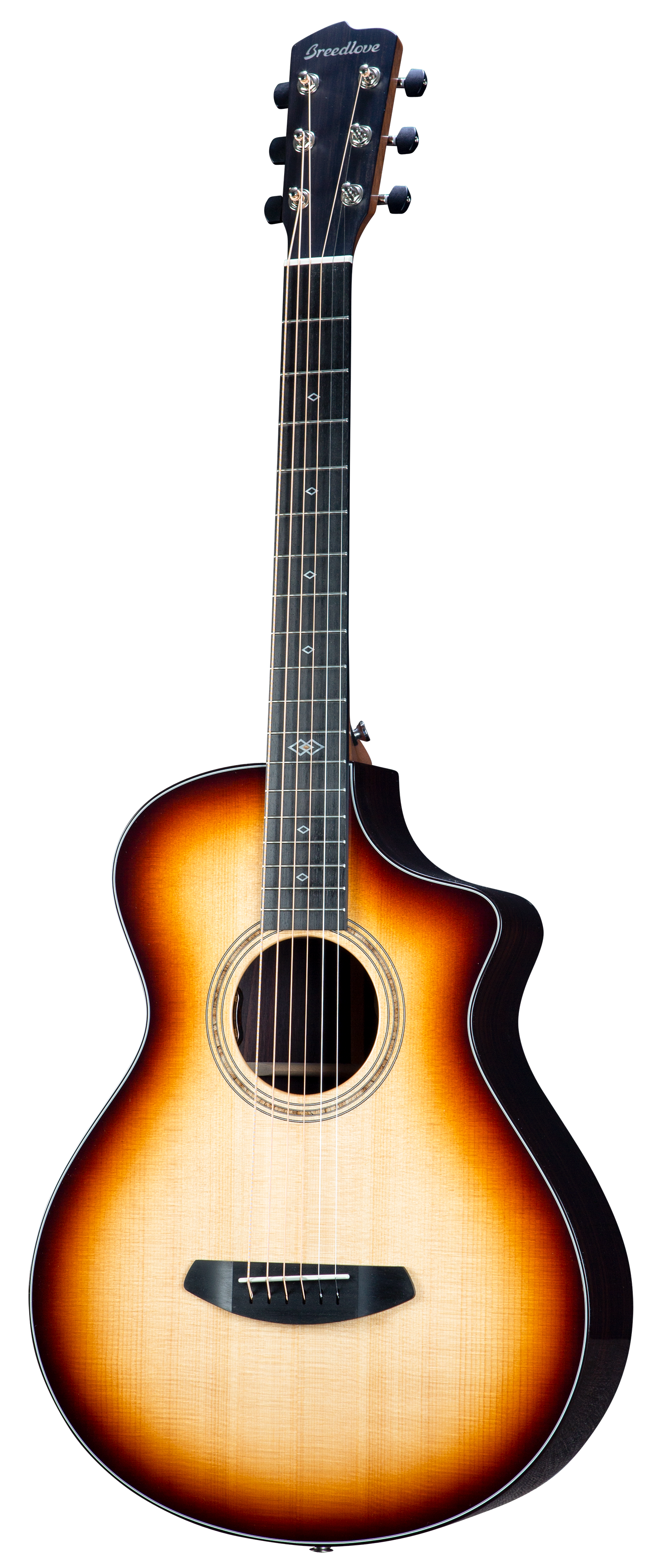 breedlove premier dreadnought rosewood