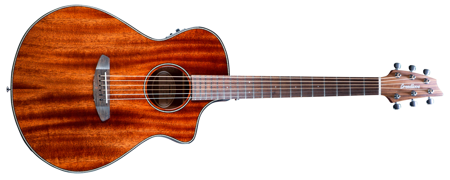 breedlove discovery s concert ce