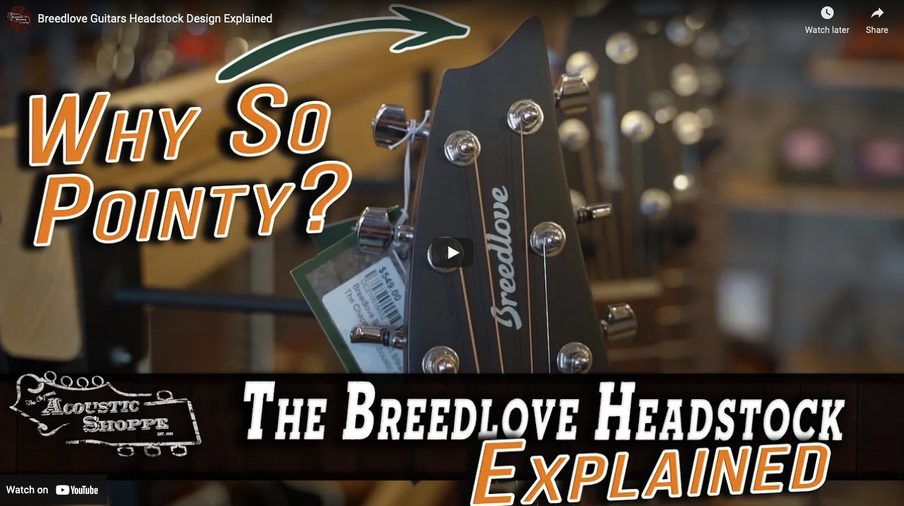 Breedlove Guitars Headstock Design Explained The Chapman Brothers