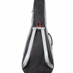 Breedlove Gig Bag