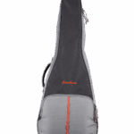 Breedlove Gig Bag