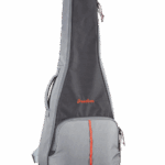 Breedlove Gig Bag