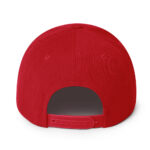 Breedlove "B" Snapback Hat