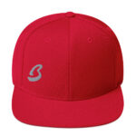 Breedlove "B" Snapback Hat